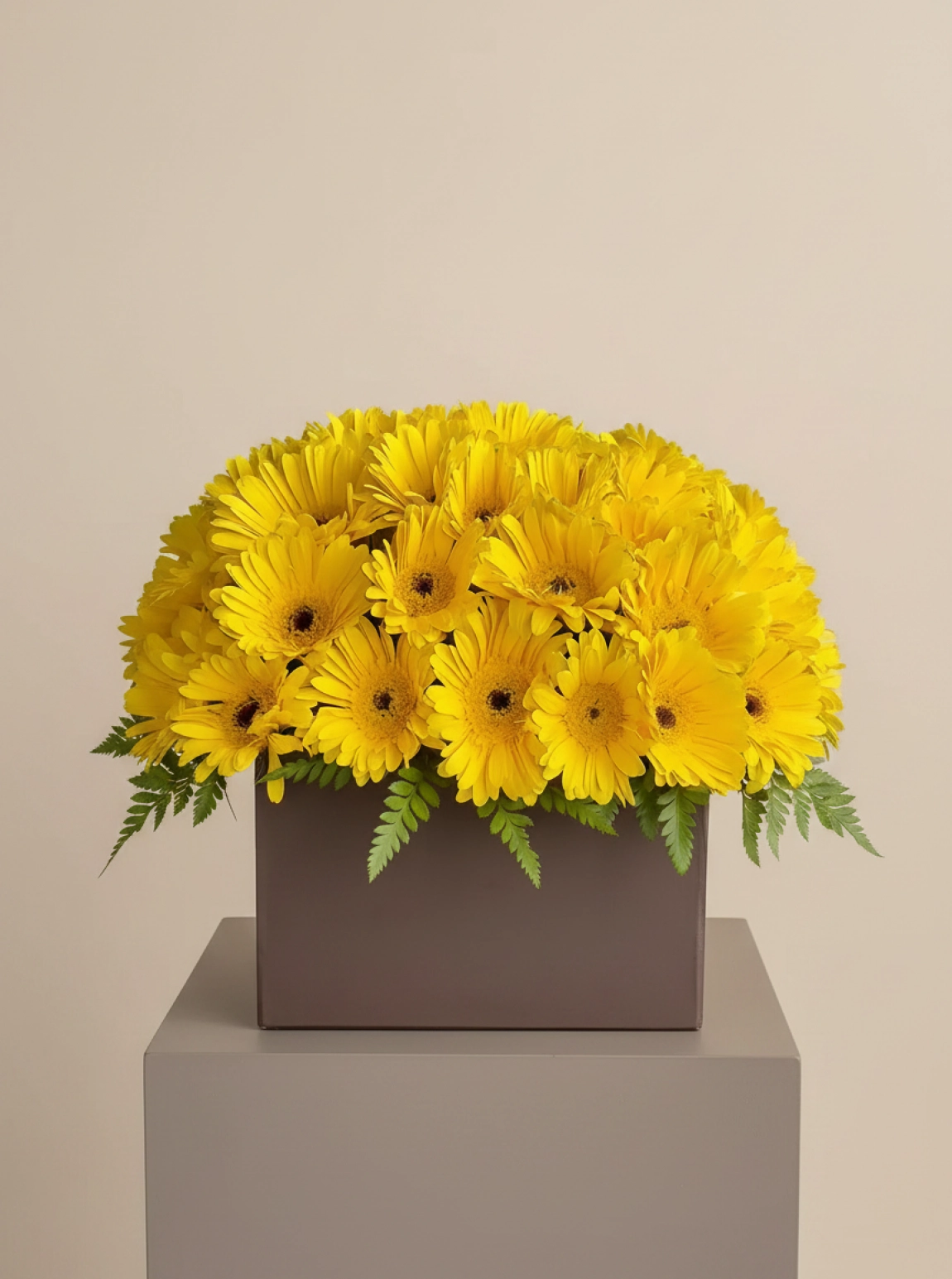 Kutuda Sarı Gerbera
