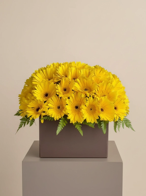 Kutuda Sarı Gerbera