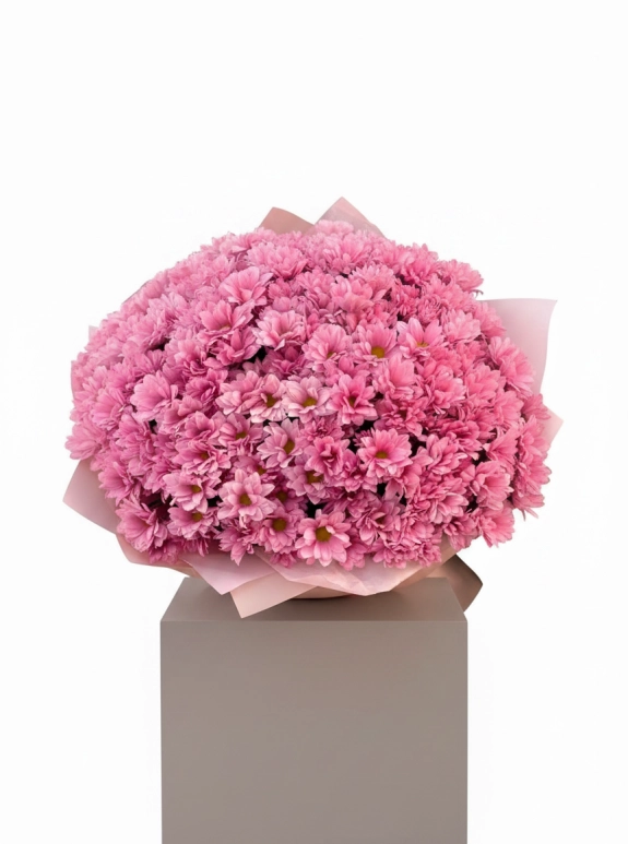 Pembe Kasımpatı Buketi