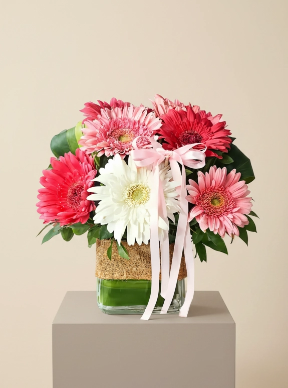 Vazoda Beyaz ve Pembe Gerbera